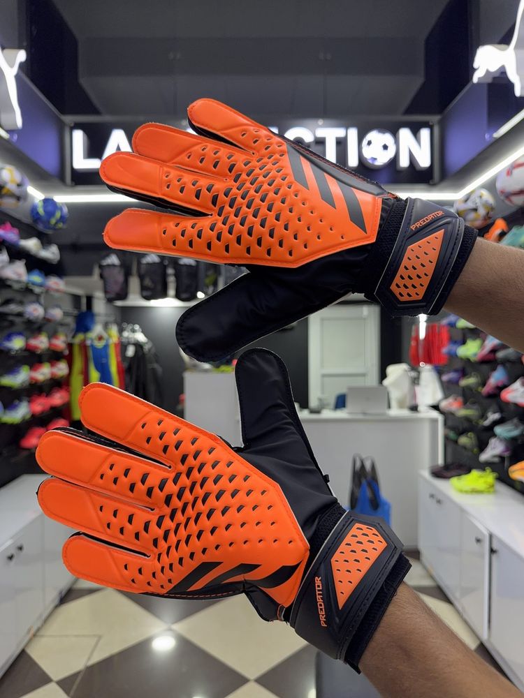 PREDATOR GL TRAINING