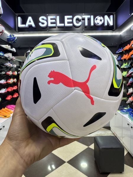 STELLAR GOAL